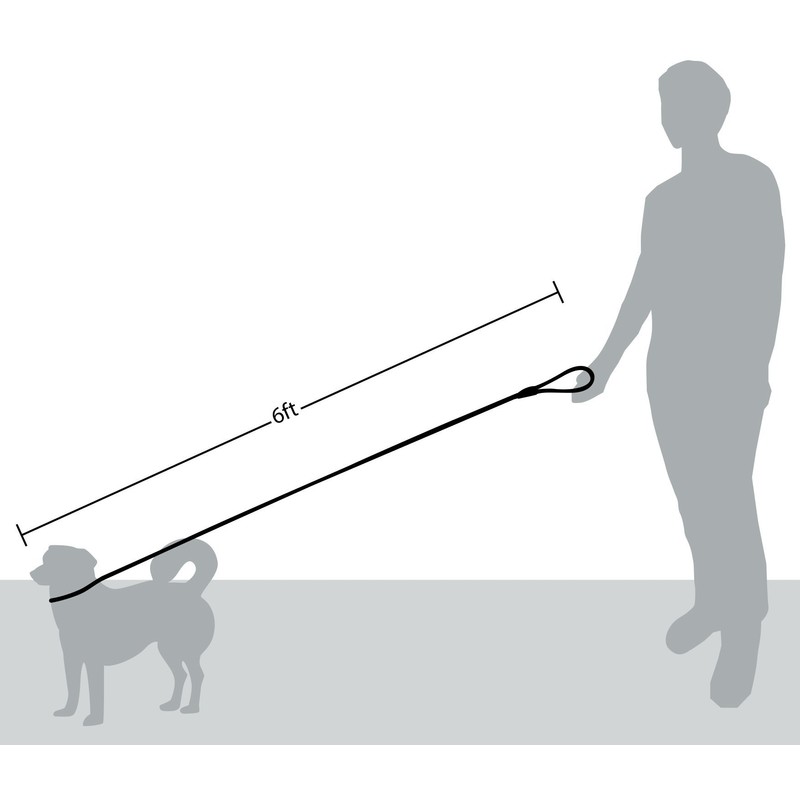 Friends Forever Extremely Durable Dog Rope Leash, Premium Quality Training
