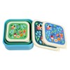 Fairies in The Garden Reusable BPA Free Snack Boxes (Set