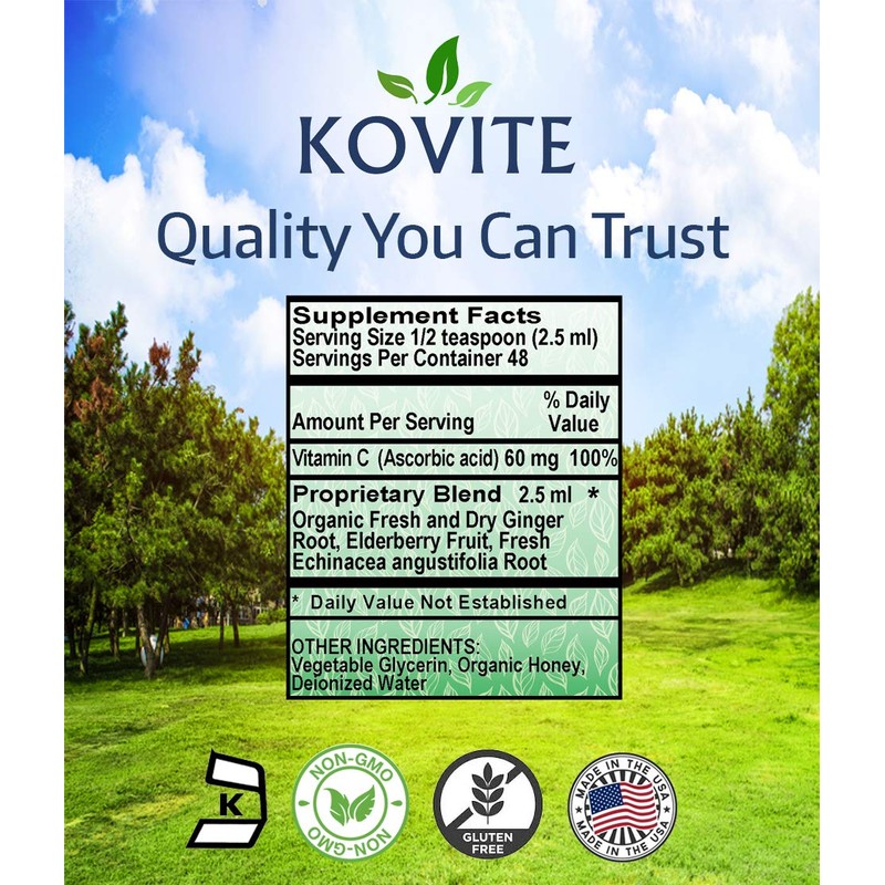 Kovite Ginger Zinger Immune Syrup - 4 oz.