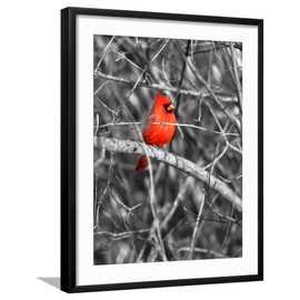 ART.COM Framed Wall Art Prints Northern Cardinal Bird on the Branch by SNEHITDESIGN, Animals Decor, 18" x 24", Black Frame with White Mat