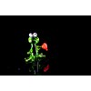 Green Frog Mini with Heart - Glass Figurine Green -