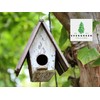 Evergreen Farm and Garden Birdseed Cylinders with Hole - Bird