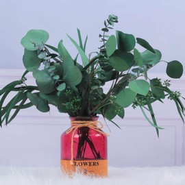 Mixed Real Dried Eucalyptus Leaves Stems - Preserved Eucalyptus Branches, Silver Dollar Eucalyptus, Seeded Eucalyptus Bouquets for Vase Floral Arrangements Wedding Greenery Decor