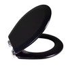 Design House 561241-BLK Dalton Soft Close Rustic Round Toilet Seat,