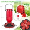 Hummingbird Feeder with Bee Guards and Ant Moat - 16