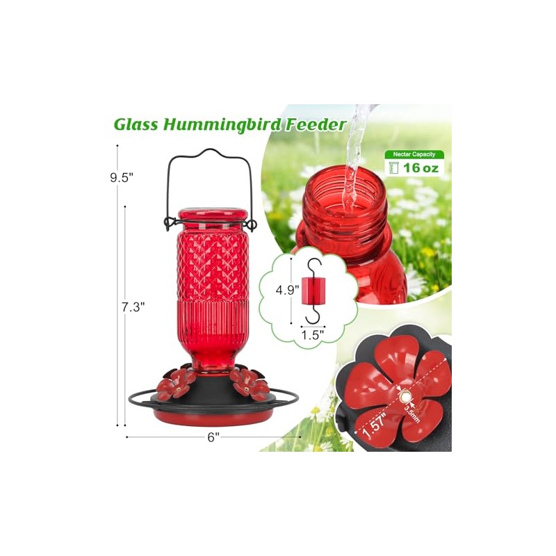 Hummingbird Feeder with Bee Guards and Ant Moat - 16