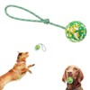 EFYUE Interactive Dog Toys Dog Toy Ball Interactive Natural Rubber