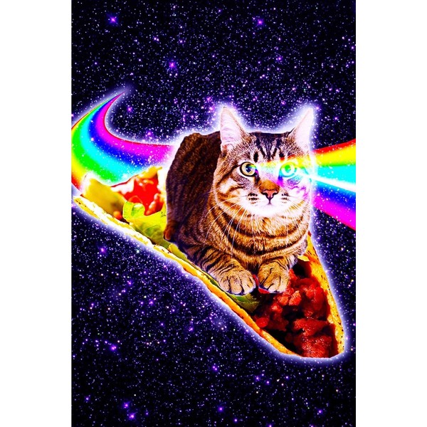 Rainbow Laser Eyes Galaxy Cat Riding Taco Daily Weekly Planner