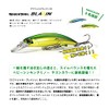 DUO CSB0054 Worm Raft Rail Blazine Dark Sea Sardine Total