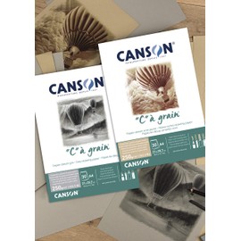 Canson "C à Grain A4 250g Mottled Grey Drawing & Sketching Paper Pad, 30 Sheets, Fine & Medium Grain Texture, Glued on Short Side, Ideal for Professional Artists