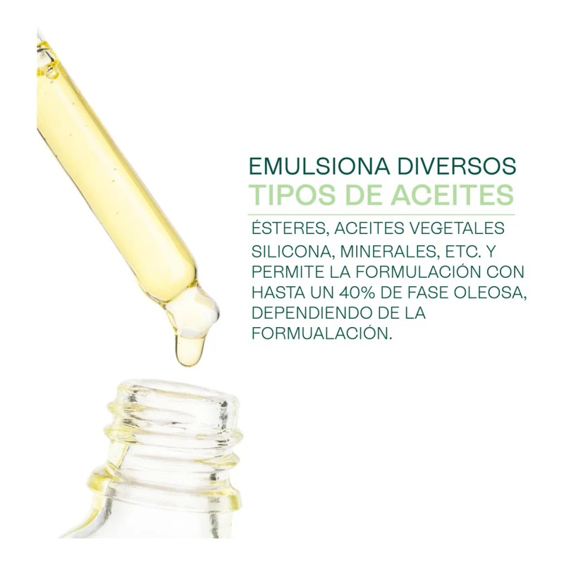 Emulsionante Natural Montanov Ludika 100g Cremas Protectores