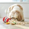 Dog Sniffing Toy Funny Interactive Puzzle Plush Noodle Shape Leaking