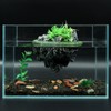 AQUA KT Turtle Floating Rock Tortoise Dock Basking Island Platform