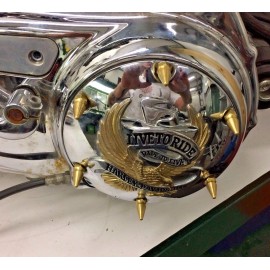 Diycycleparts 6 BRASS SPIKE DERBY COVER BOLT KIT 2003 up Harley SPORTSTER XL HD 72 48 1200 883