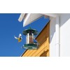 Bird Feeder for Outdoors - 360° Feeding Perch. Green