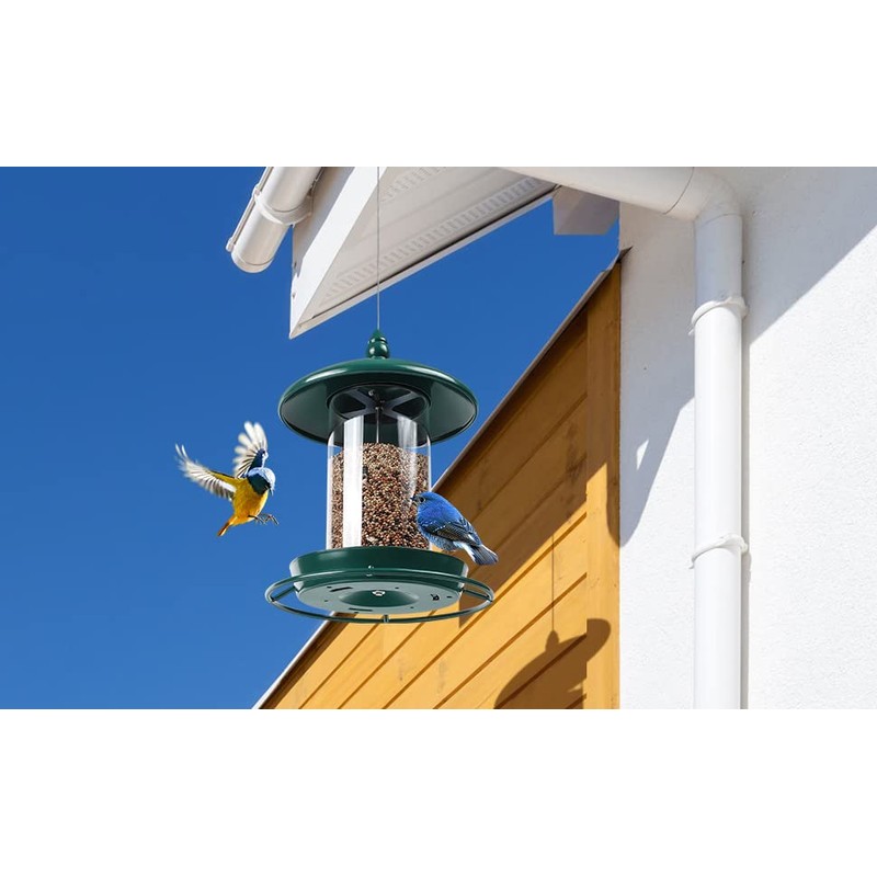 Bird Feeder for Outdoors - 360° Feeding Perch. Green