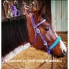 chocolate Brown side pull hackamore with a whoa bitless bridle