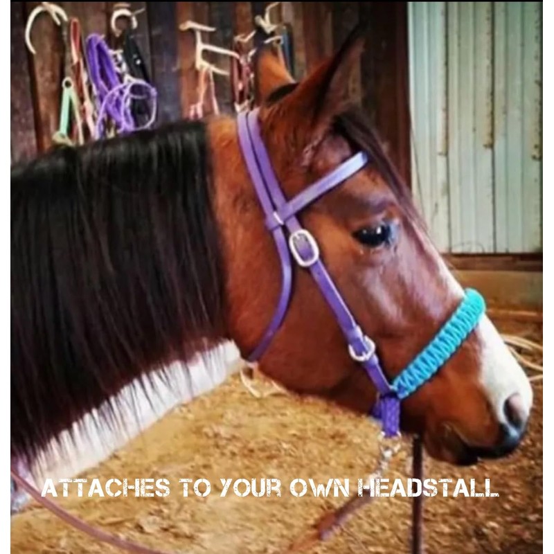 chocolate Brown side pull hackamore with a whoa bitless bridle