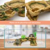 MINYULUA Turtle Basking Platform Reptile Terrarium Hideout Tortoise Resin Rock