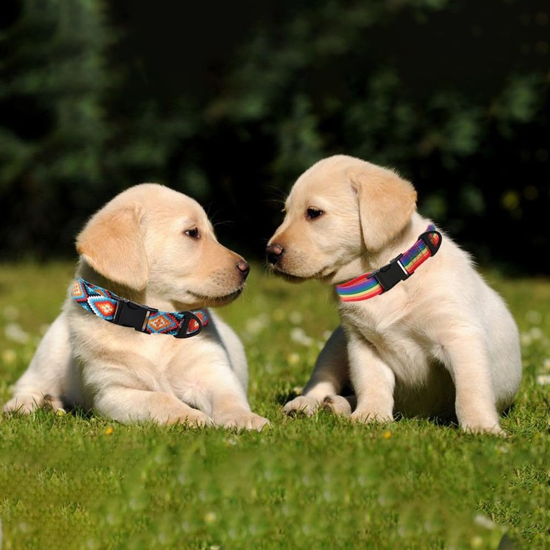 Dog Collar and Leash Set, Soft Bohemia Patterns Ethnic Style