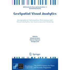 GeoSpatial Visual Analytics: Geographical Information Processing and Visual Analytics for Environmental Security
