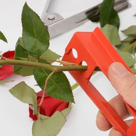 Rose Thorn Remover for Floral Arrangement Practice Material Thorn Remover 10ea