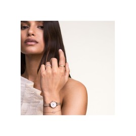 Daniel Wellington Petite Mini 19mm Women's Watch, Steinless Steel with Pvd Plated Rose Gold Rose Gold Watch for Women