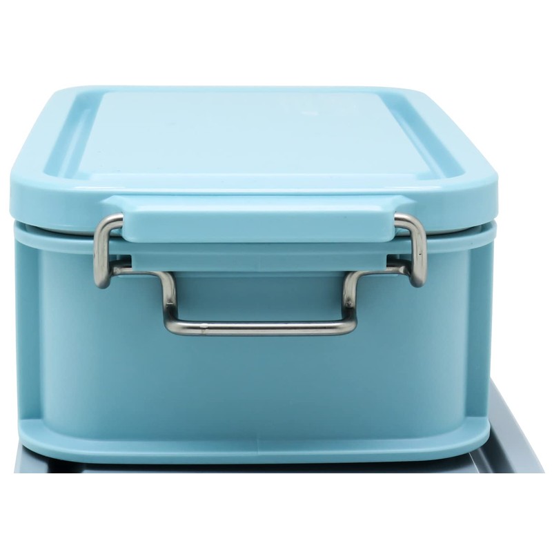 OSK EARTHY CNT-600 Container Lunch Box with Dividers, 20.3 fl