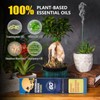 Citronella Incense Sticks 60 Pieces per Box - Citronella Incense
