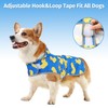 Dog Raincoat Hooded,Waterproof Rain Coat for Dogs with Adjustable Belly