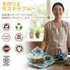 SuperBee Beeswax Wraps ミツロウラップ | Reusable Food Wrap | Organic,
