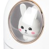 Humidifier Aroma Diffuser USB Power Supply 300ml Capacity Auto Shutdown