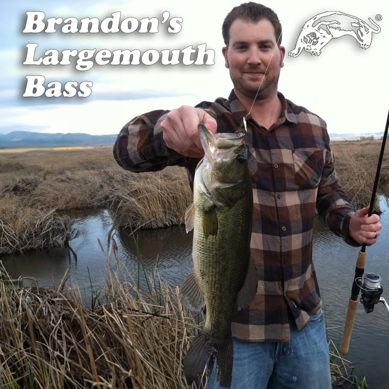 Panther Martin PMAS_1 Classic Patterns Fishing Teardrop Spinner Lure -