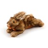 ALL FOR PAWS Pet Plush Rabbit Toys with Squeaker, Durable