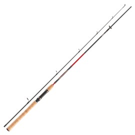 Daiwa Sweepfire Spin Rod, 3.00 m, 40-100 g, 2-Piece Spin Rod