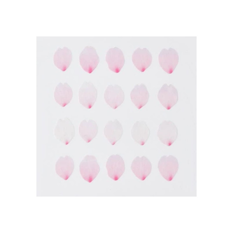 Nishikawa Communications Bande BDA673 Masking Tape, Cherry Blossom Petals -