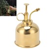 Professional Stainless Steel Watering Can with Top Pump for Succulent