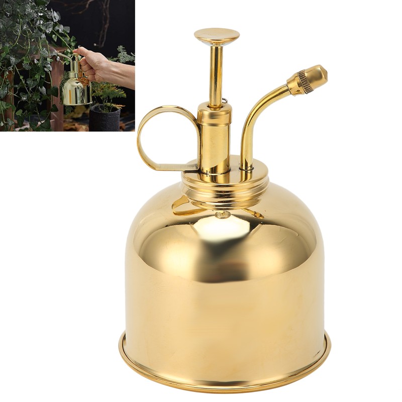 Professional Stainless Steel Watering Can with Top Pump for Succulent