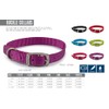 Ancol Viva Comfortable Durable Safe Weatherproof Purple Dogs Buckle Collar