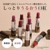 Chifure Lipstick (Refill) 750 Brown