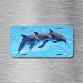 Amel Dolphin License Plate Front Black Auto Tag Plate Dolphino Bottle Nose Ocean sea
