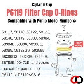 Captain O-Ring Reemplazo P6119 O-Ring para Bestway Flowclear Tapa de filtro de bomba (2 unidades) [Ver detalles para modelos de filtro compatibles]