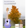 Winzz AU-C00 Concert Ukulele Beginner Set for Adults and Children,
