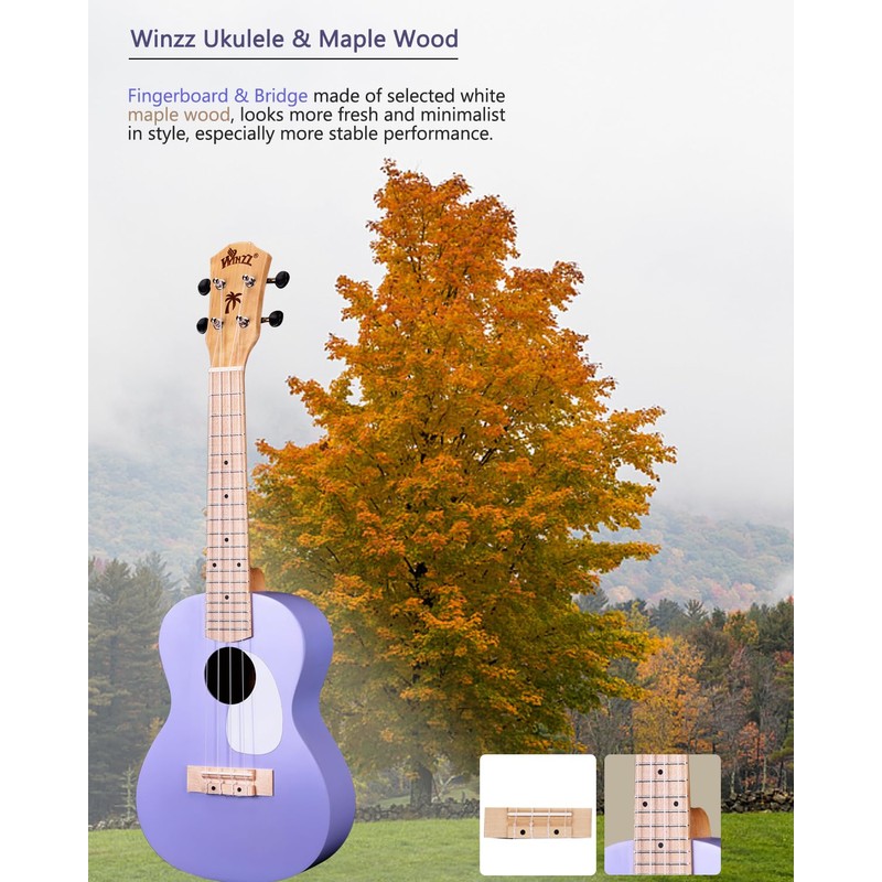 Winzz AU-C00 Concert Ukulele Beginner Set for Adults and Children,