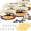4 Packs Flea Trap-Flea Traps for Inside Your Home, Effective