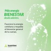 Suplemento Alcachofa y Cardo Mix