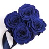 ROSEMARIE SCHULZ Heidelberg Individual Rose Box with Infinity Roses and