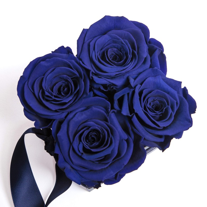 ROSEMARIE SCHULZ Heidelberg Individual Rose Box with Infinity Roses and