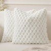 MIULEE Set of 2 Faux Fur Decorative Throw Pillow Covers