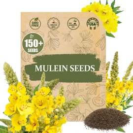 Premium Mullein Seeds (Verbascum thapsus) – 150+ Non-GMO Heirloom Seeds for Fast-Growing, Medicinal Plants – Easy to Grow & Resilient